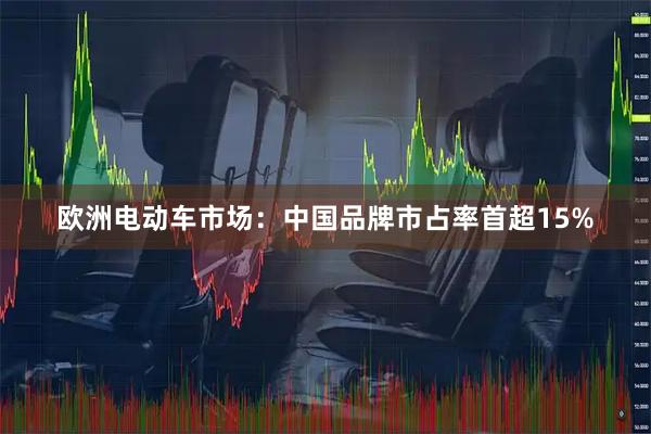 欧洲电动车市场：中国品牌市占率首超15%